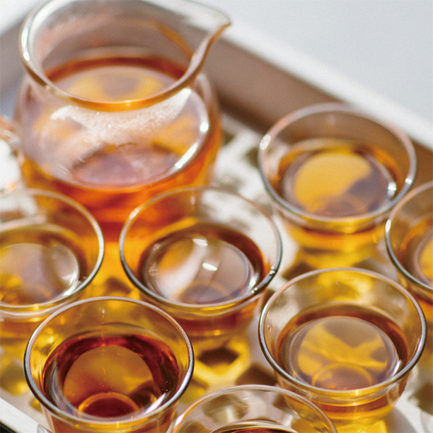 新手必看！一篇搞懂台灣六大茶系：從綠茶到黑茶的風味探索之旅